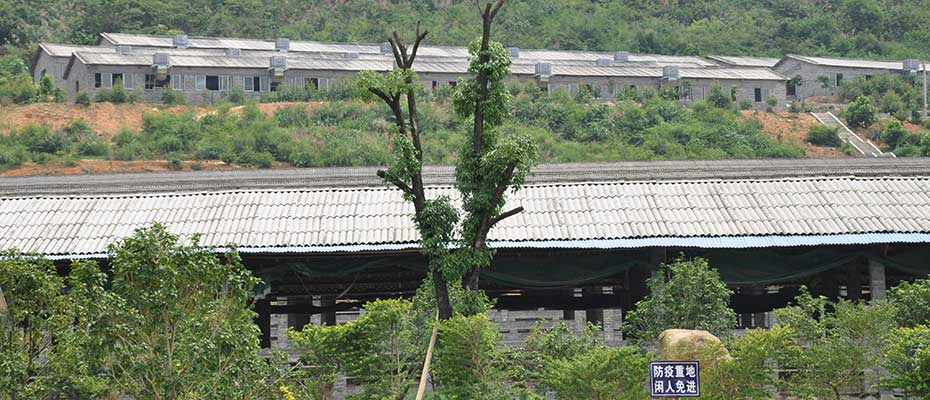 瑞昌環(huán)?？照{